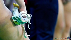 serie b ph simone ferraro sfa01407 copia